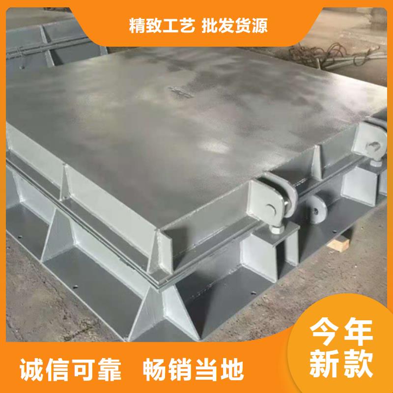 钢闸门手电两用启闭机生产经验丰富