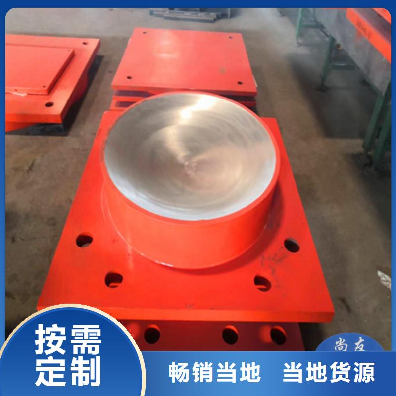 球形支座D80型伸缩缝实力见证