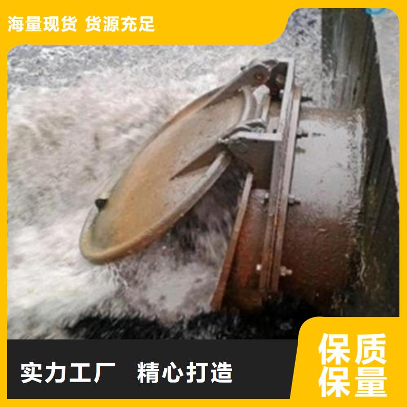 拍门_不锈钢清污机本地厂家值得信赖