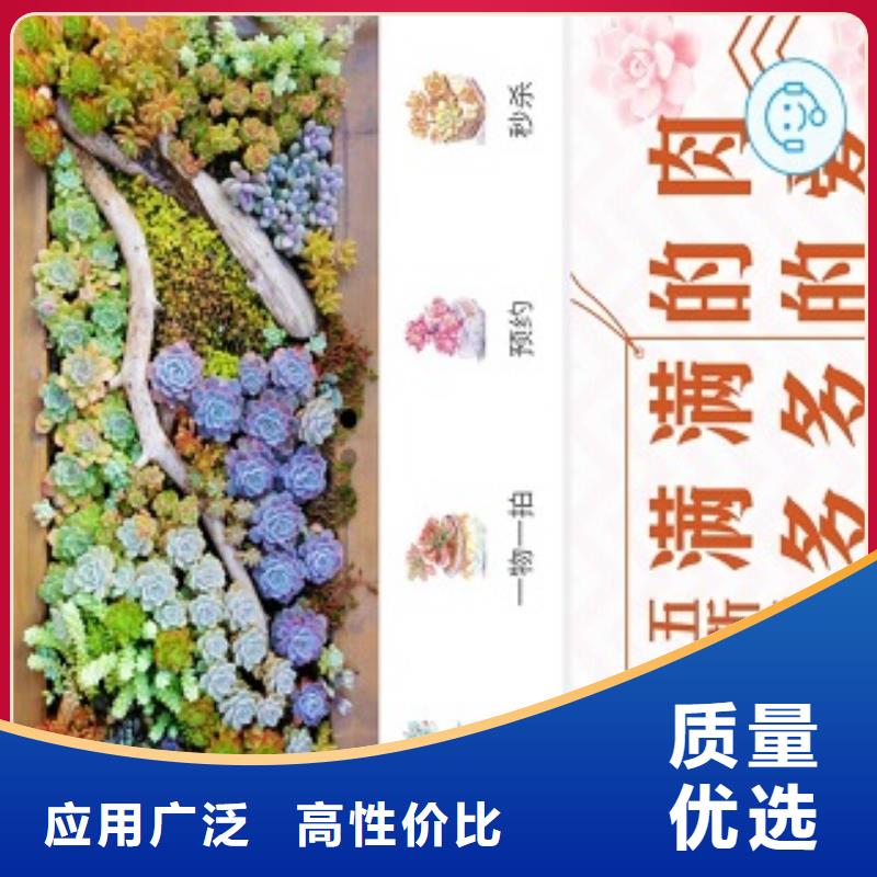 小程序制作【小程序代运营】多行业适用