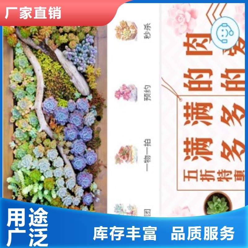 小程序制作制作小程序批发供应