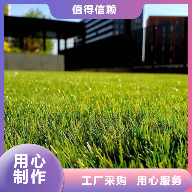 塑胶跑道塑胶跑道厂家厂家直销直供