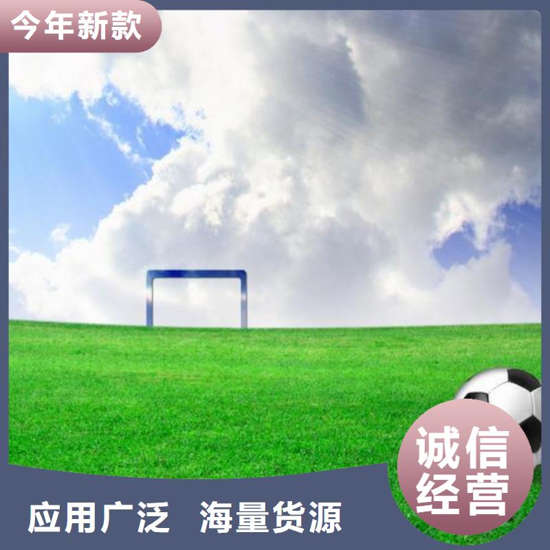 塑胶跑道学校塑胶跑道产地直供