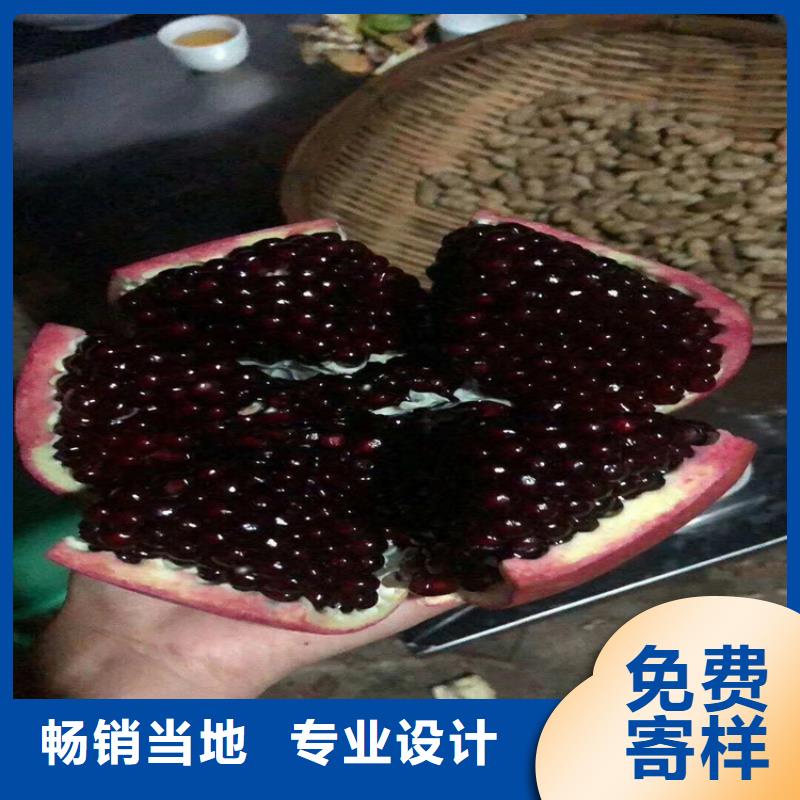 石榴无花果苗免费安装