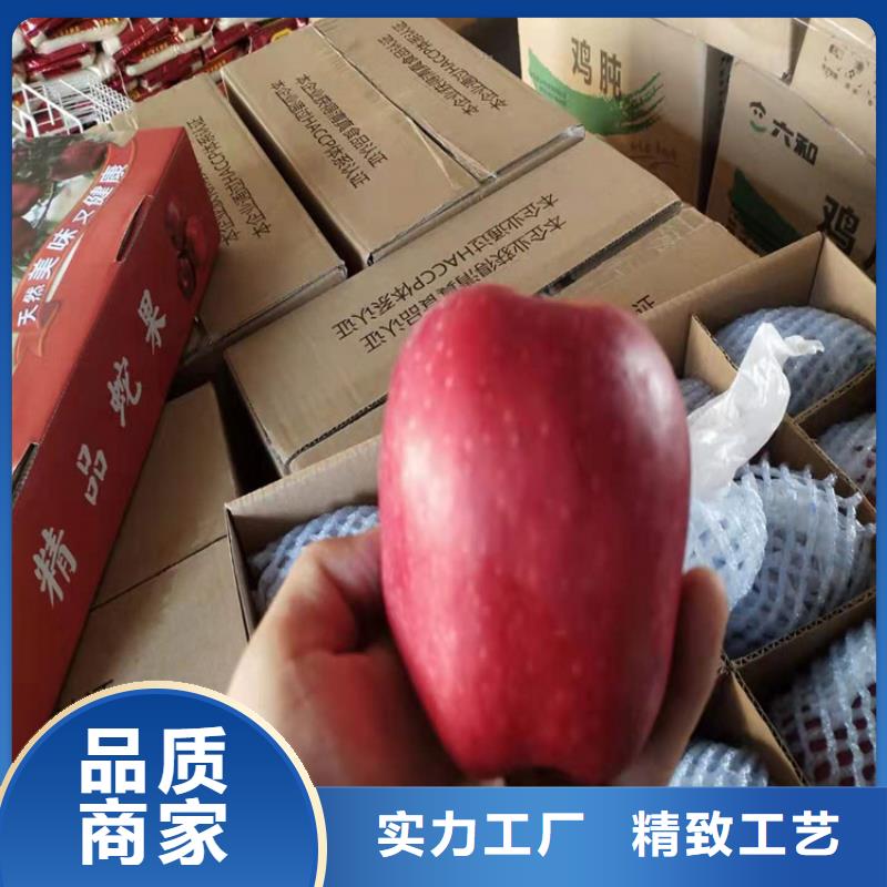 苹果 葡萄苗一对一为您服务