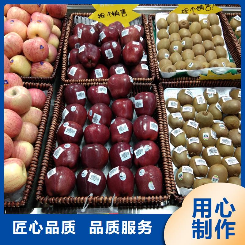 苹果-桃树苗款式新颖