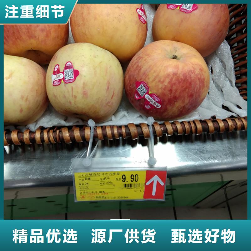 苹果樱桃苗厂家采购