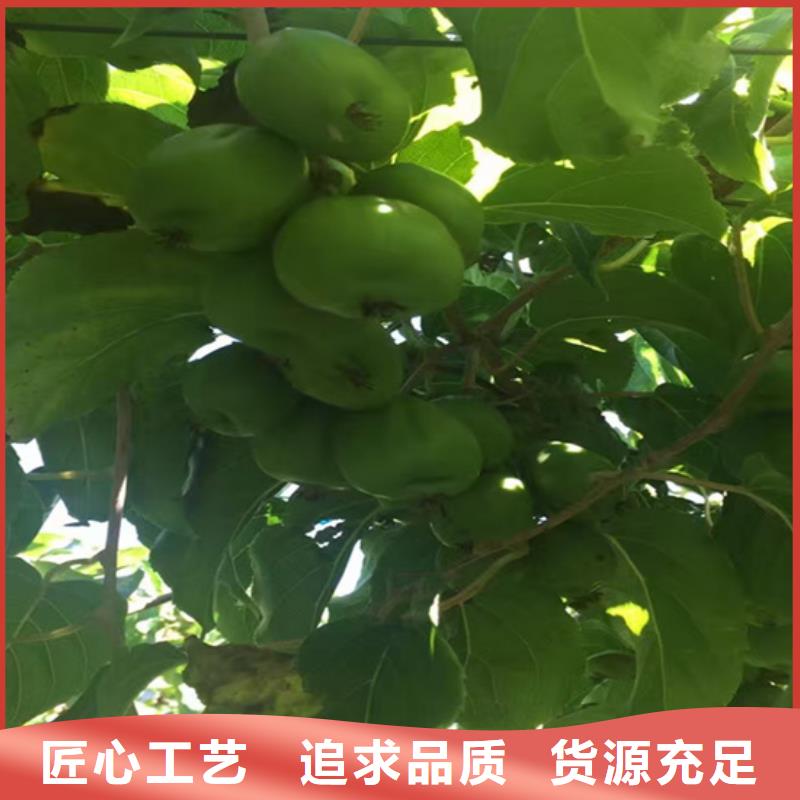 猕猴桃_草莓苗买的是放心