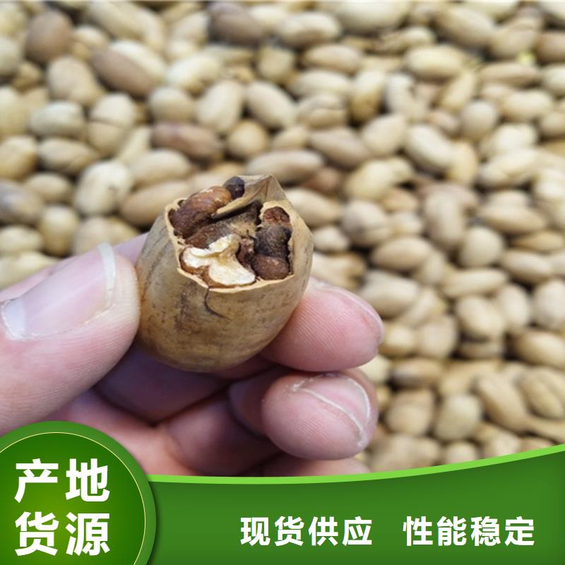碧根果,樱桃苗工厂认证