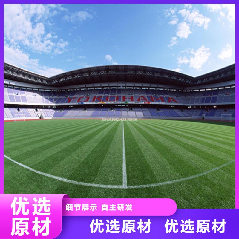 人造草坪室外运动场地应用领域
