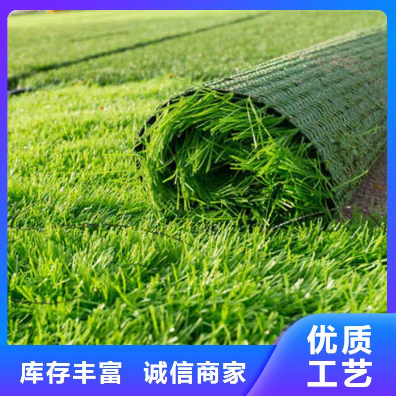 人造草坪室外运动场地应用领域