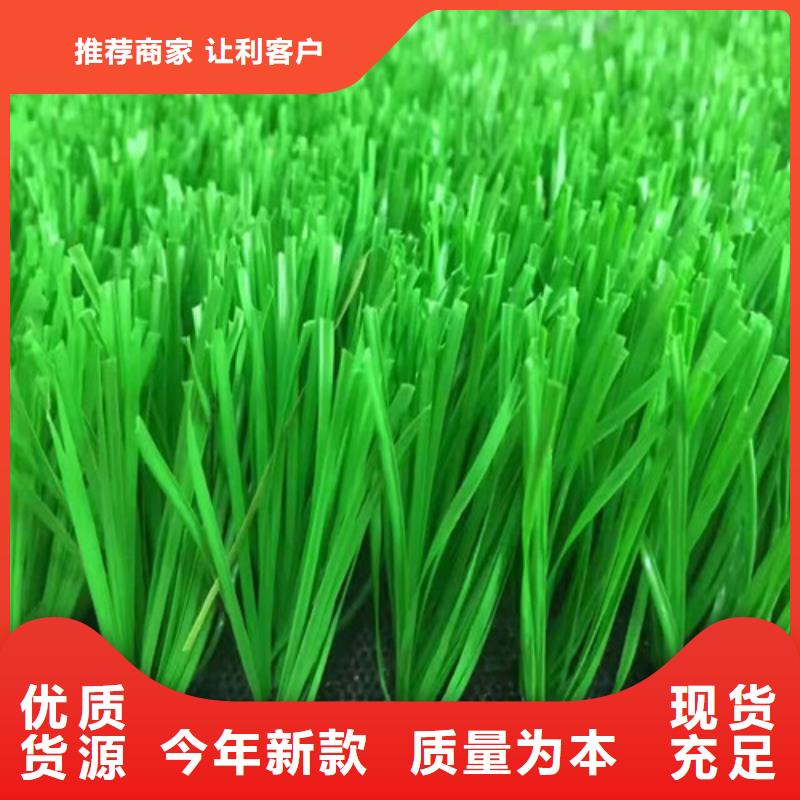 人造草坪室外运动场地应用领域