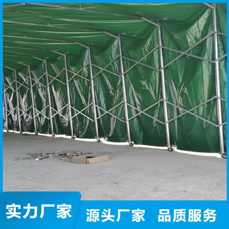 雨蓬仓储物流帐篷工厂直营