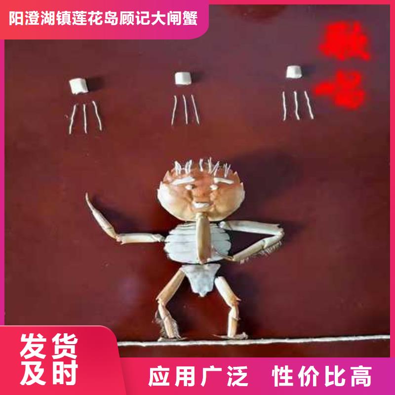 莲花岛阳澄湖大闸蟹哪里好吃
