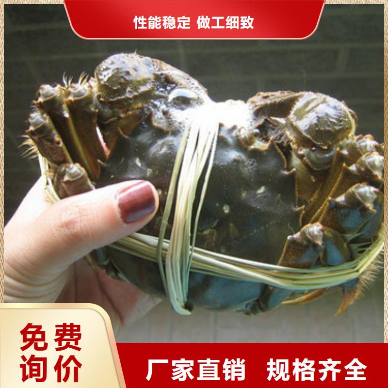 莲花岛阳澄湖大闸蟹哪里好吃