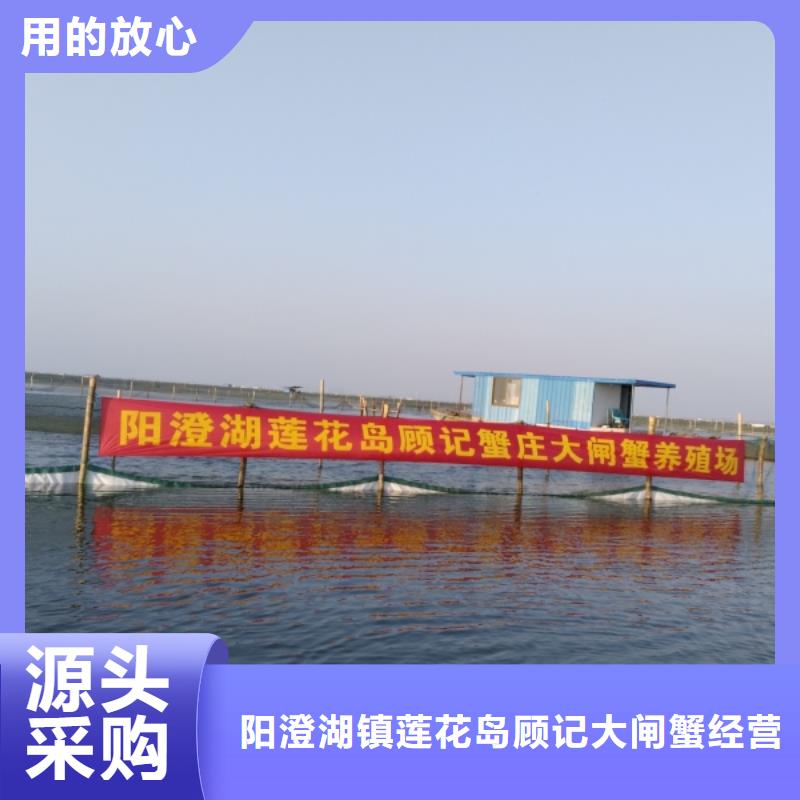 阳澄湖大闸蟹哪里好苏州这里好