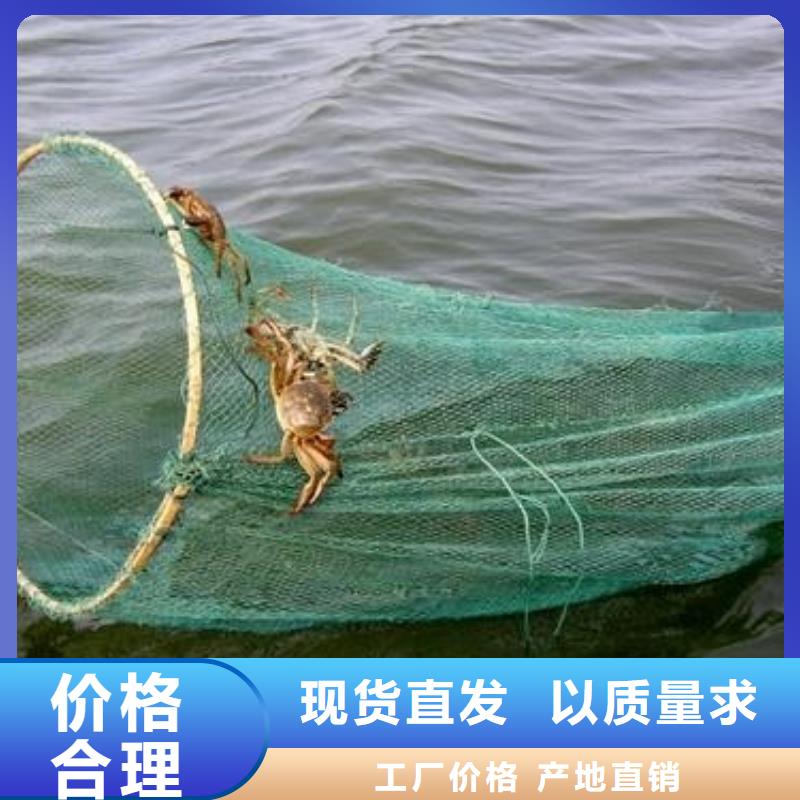 阳澄湖大闸蟹哪里好苏州这里好