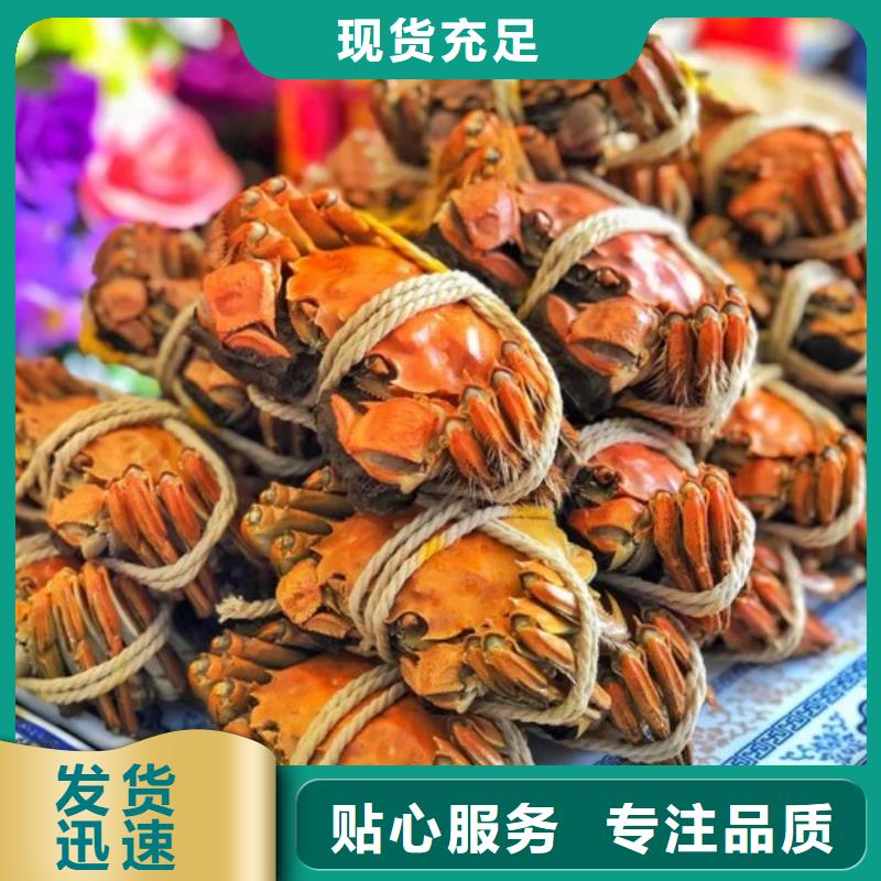 阳澄湖大闸蟹哪里好苏州这里好