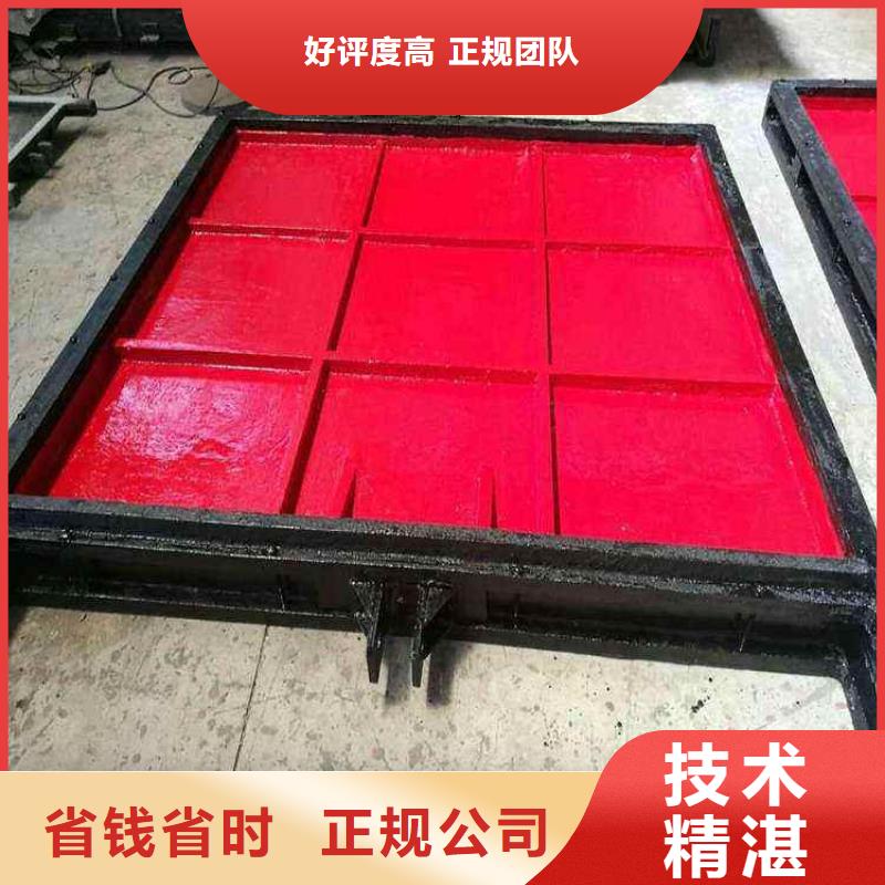 铸铁闸门-ZMQF铸铁镶铜闸门高品质