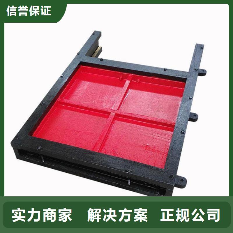 铸铁闸门-铸铁闸门螺杆启闭机经验丰富