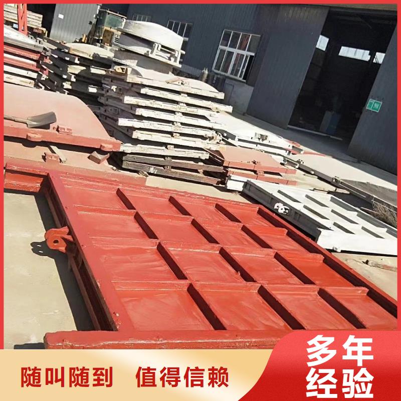 铸铁闸门-ZMQF铸铁镶铜闸门高品质