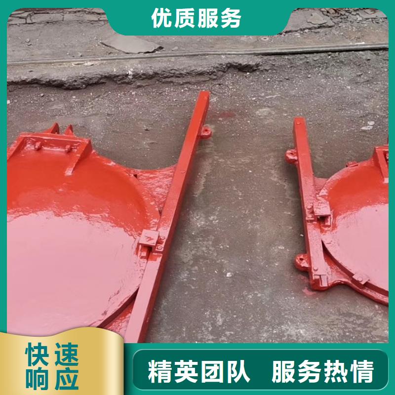 铸铁闸门-铸铁闸门螺杆启闭机经验丰富