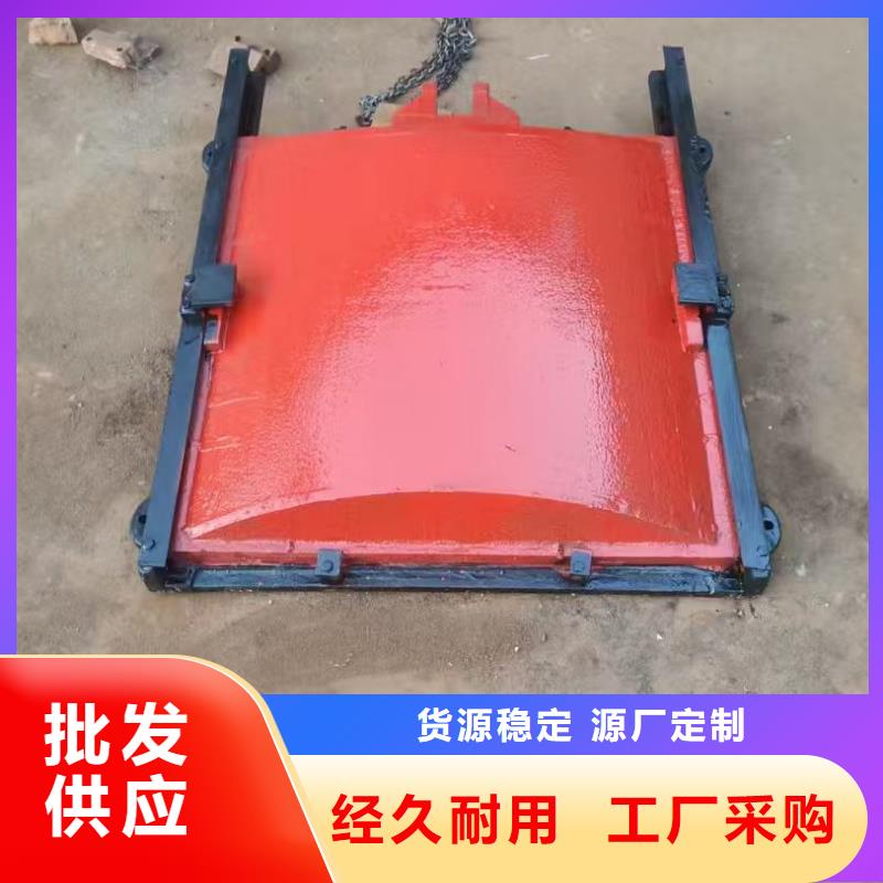 铸铁闸门-铸铁闸门螺杆启闭机经验丰富