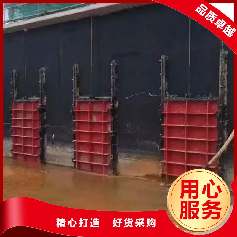 闸门铸铁单向止水闸门生产型
