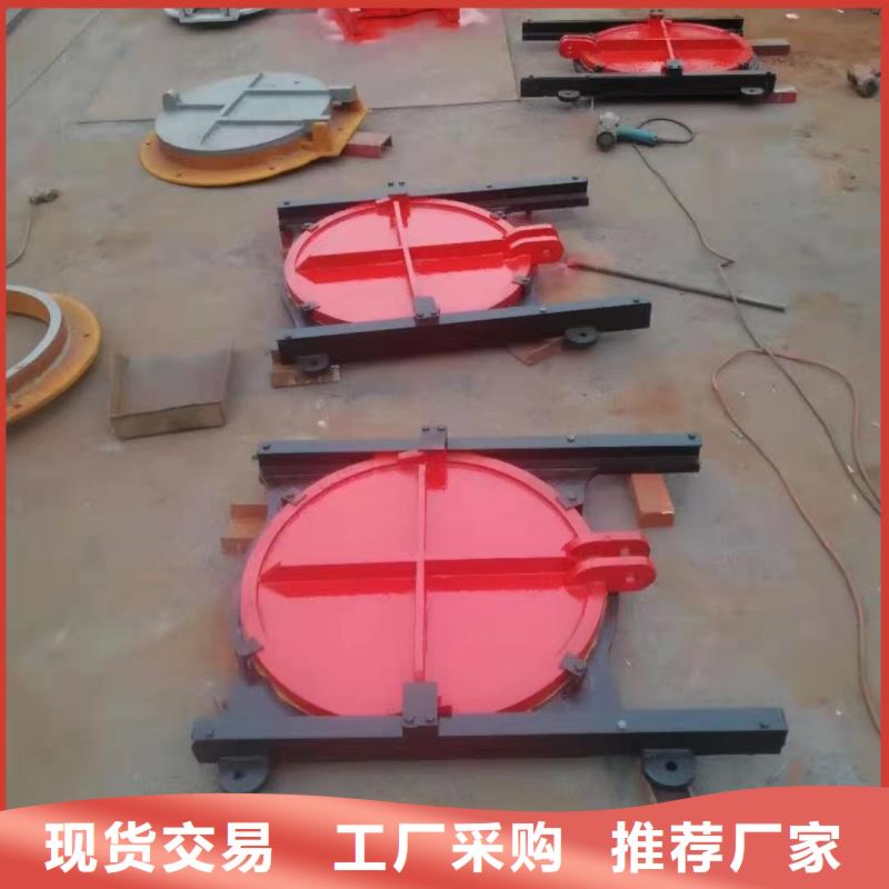 闸门_PGZ渠道铸铁闸门严选材质