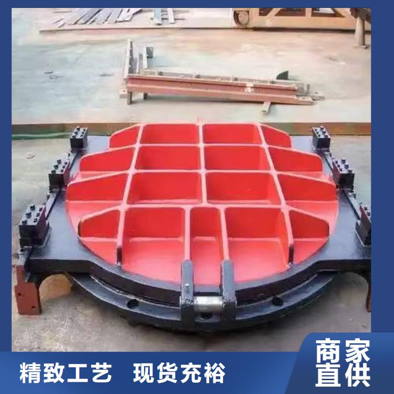 铸铁镶铜闸门-铸铁镶铜闸门价格透明