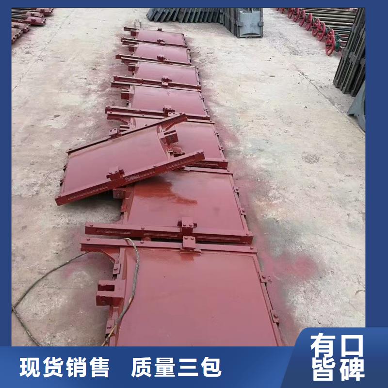 闸门镶铜铸铁闸门的简单介绍