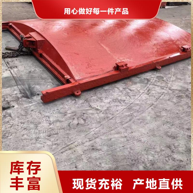 镶铜铸铁闸门-加工厂家