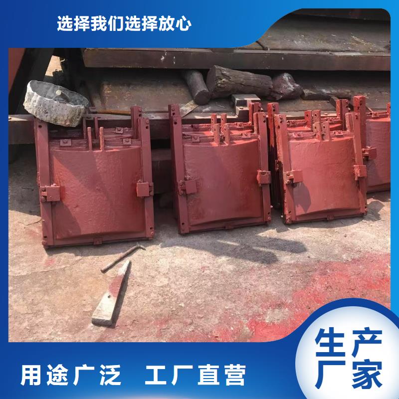 闸门铸铁单向止水闸门生产型