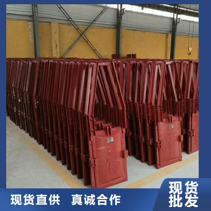 铸铁镶铜闸门-双向止水铸铁镶铜闸门技术领先