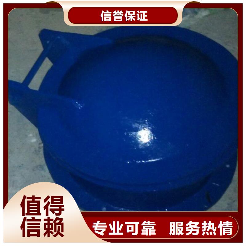 拍门-节能式侧翻式拍门实力厂家