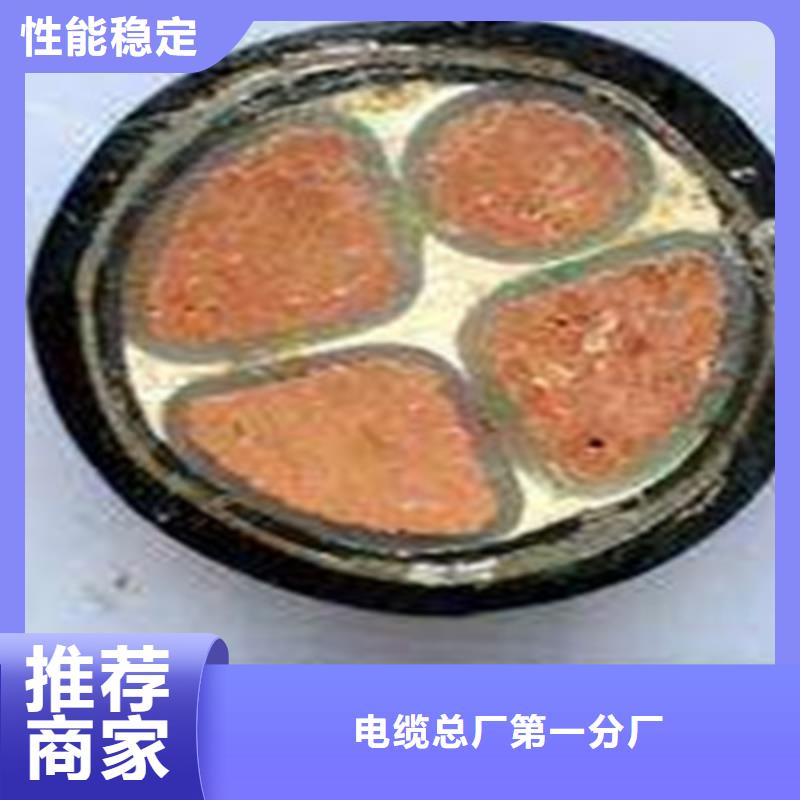 ZR-CU/XLPE/PE/SWA阻燃电力电缆靠谱厂家