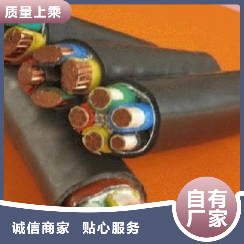 钢带铠装电力电缆RVV-NBR 现货报价