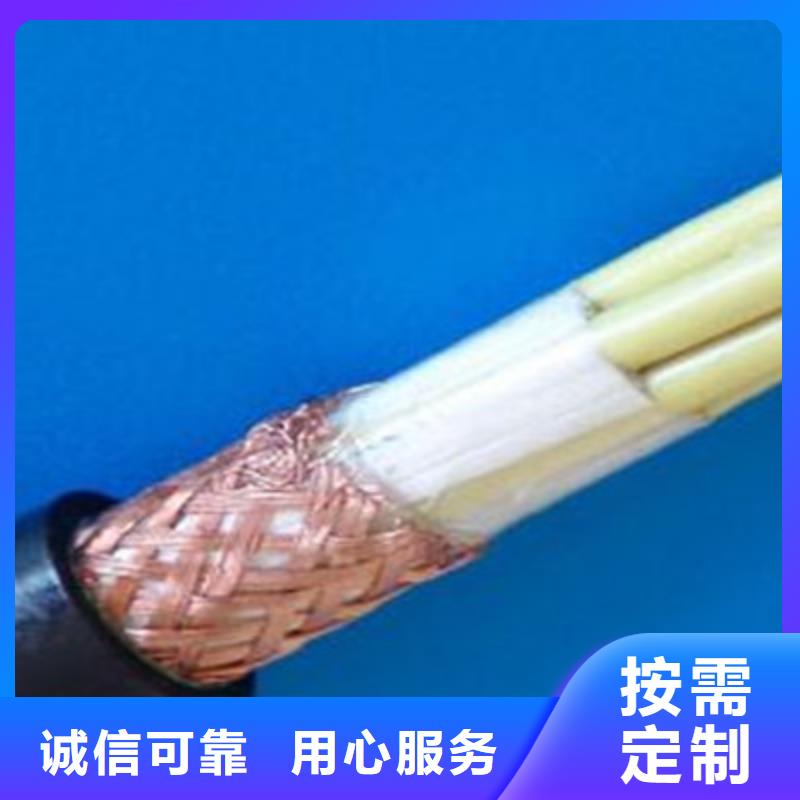 DJFP2VF耐高温计算机电线14X2X2.5