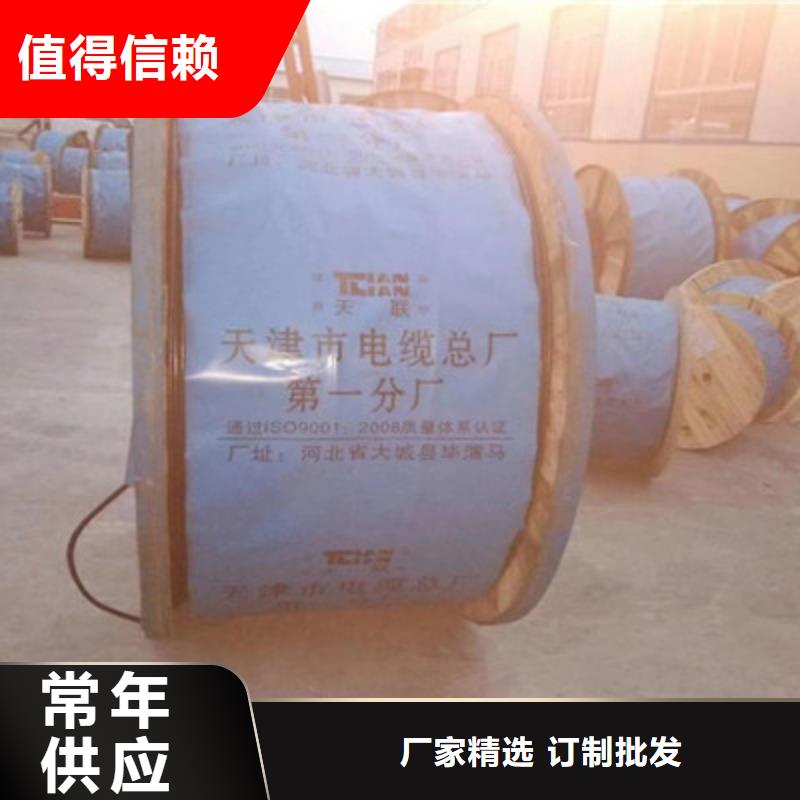 阻燃计算机电缆ZR-DJVP3VR19X2X2.5