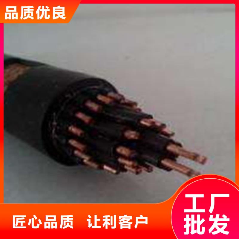 铠装屏蔽控制电缆KVVP32 7X1.0