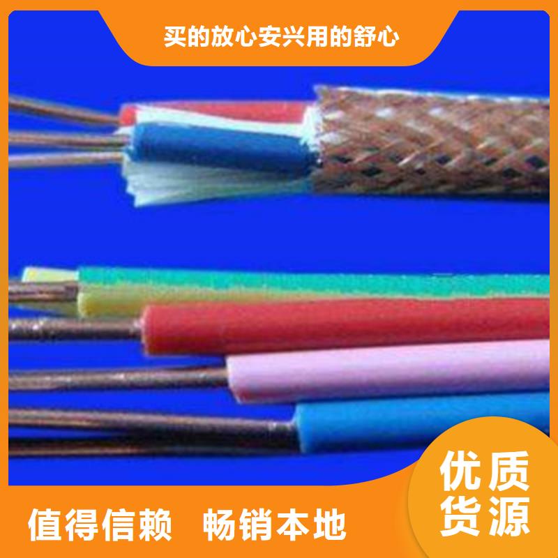 铠装屏蔽控制电缆KVVP32 7X1.0