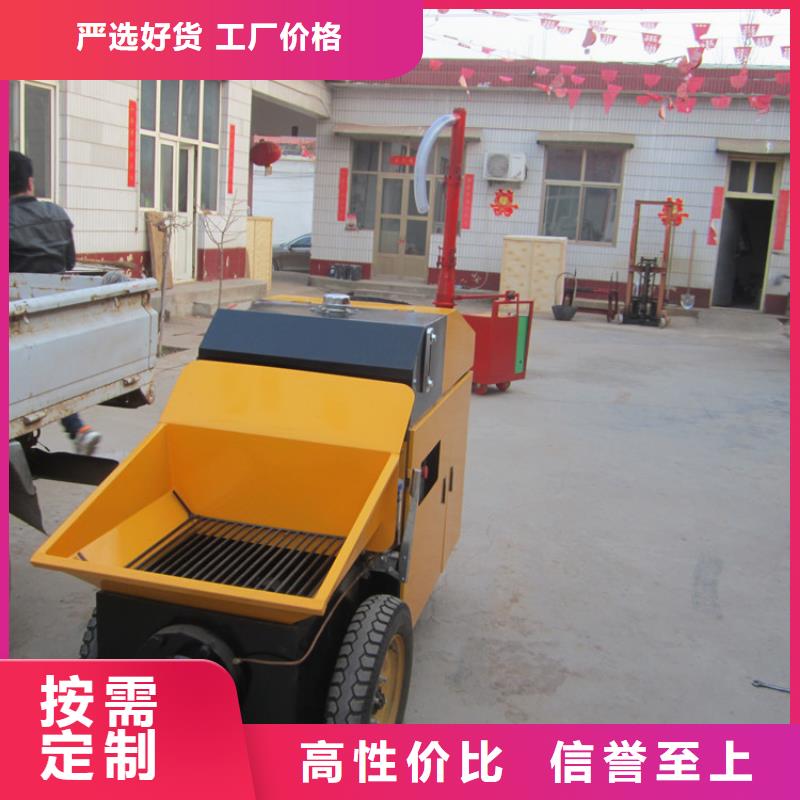 二次构造柱泵混凝土输送泵欢迎来厂考察