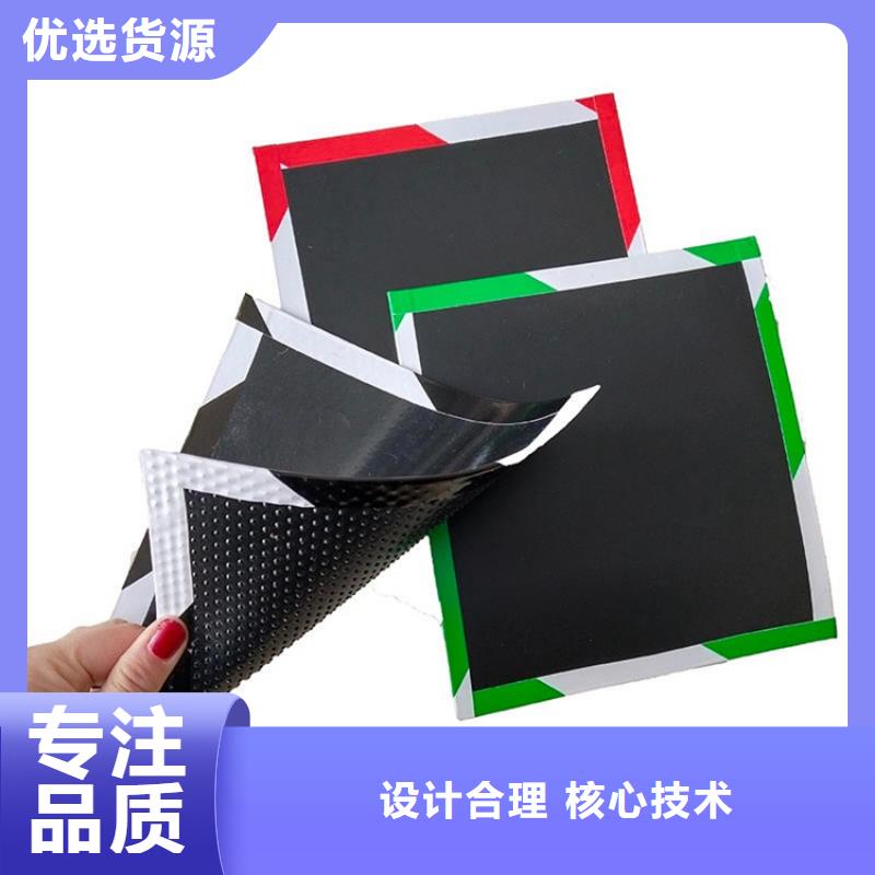 土工膜【防水板】保质保量