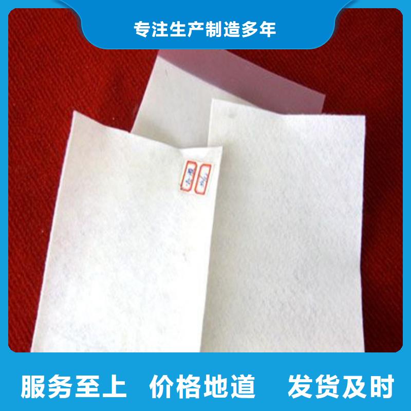 土工膜防渗土工膜实力厂家