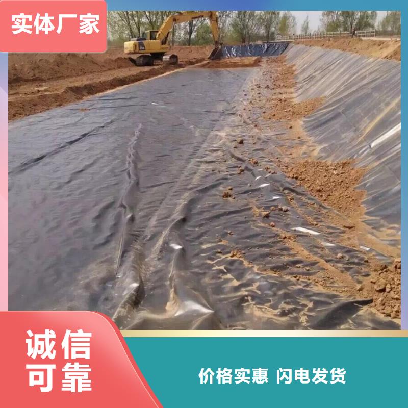 土工膜防渗土工膜一对一为您服务