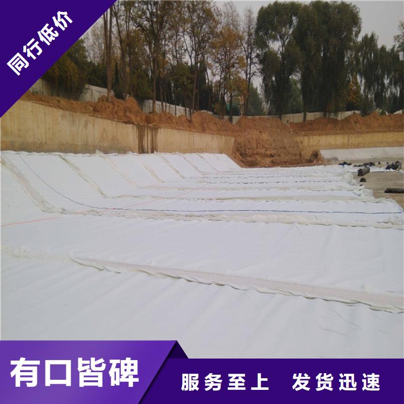 土工布_防水板诚信经营质量保证