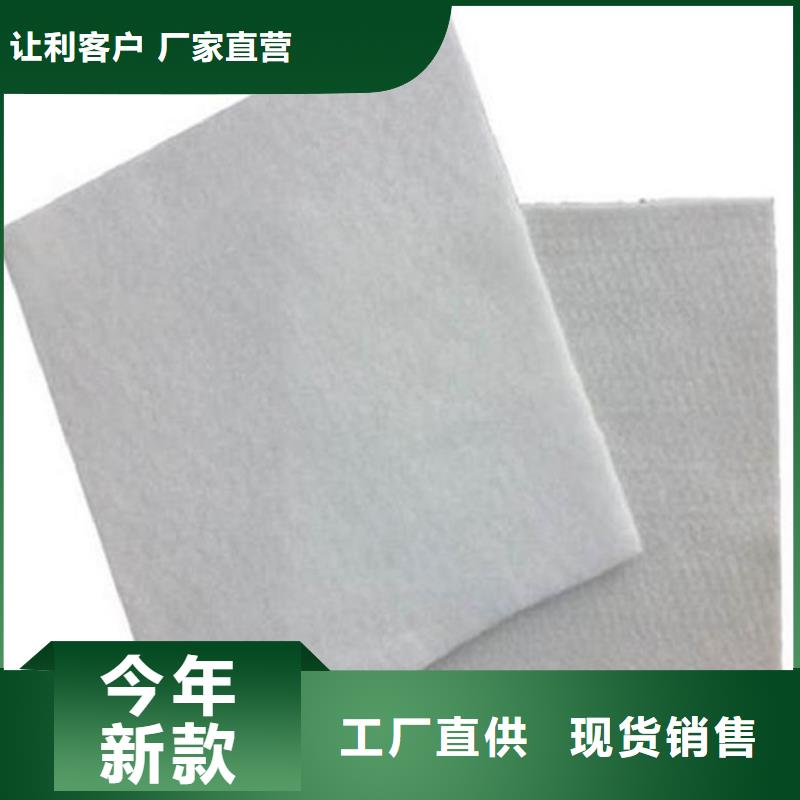 【土工布】土工膜匠心制造