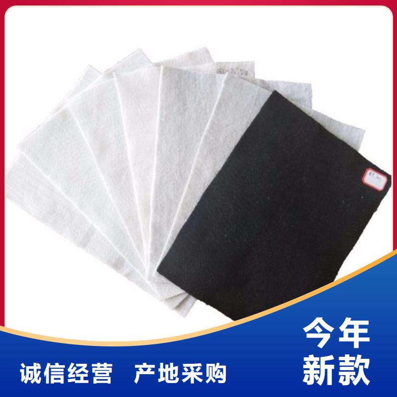 土工布_防水板诚信经营质量保证