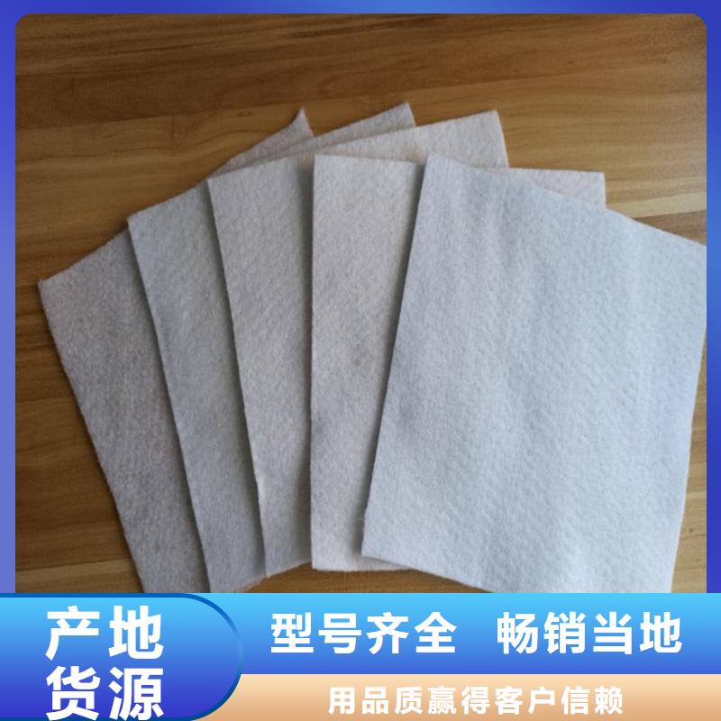 土工布_防水板诚信经营质量保证