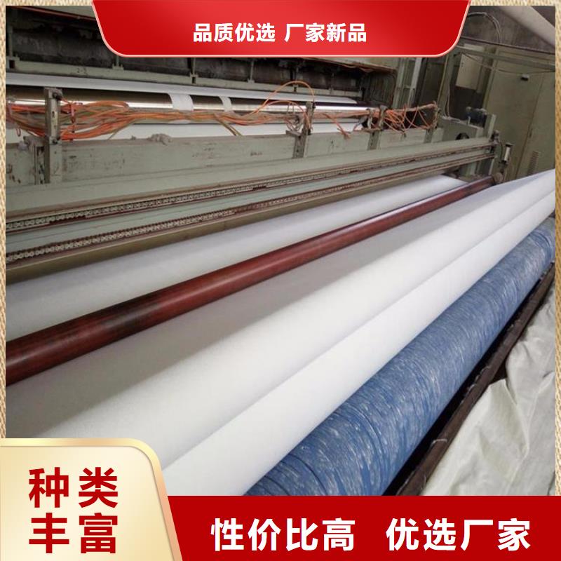 土工布_防水板诚信经营质量保证